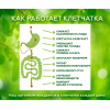 Правильное похудение, КЛЕТЧАТКА СИБИРСКАЯ, 300 ГР